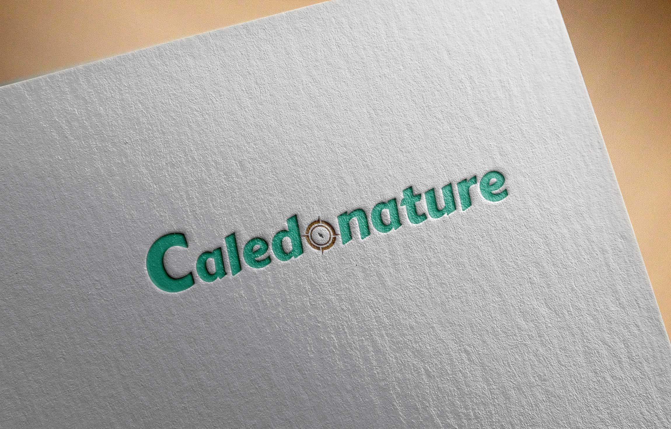01-Logo-Mockup-1